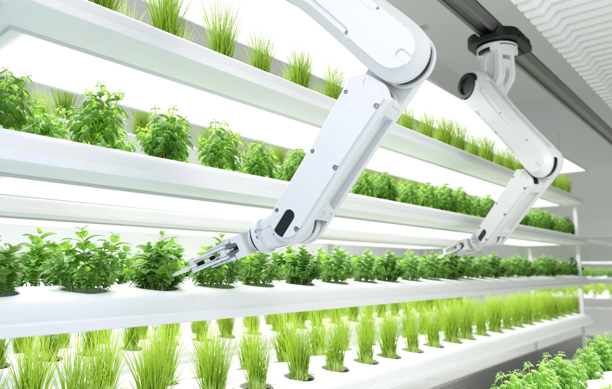 Agricultural Evolution